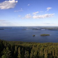Koli